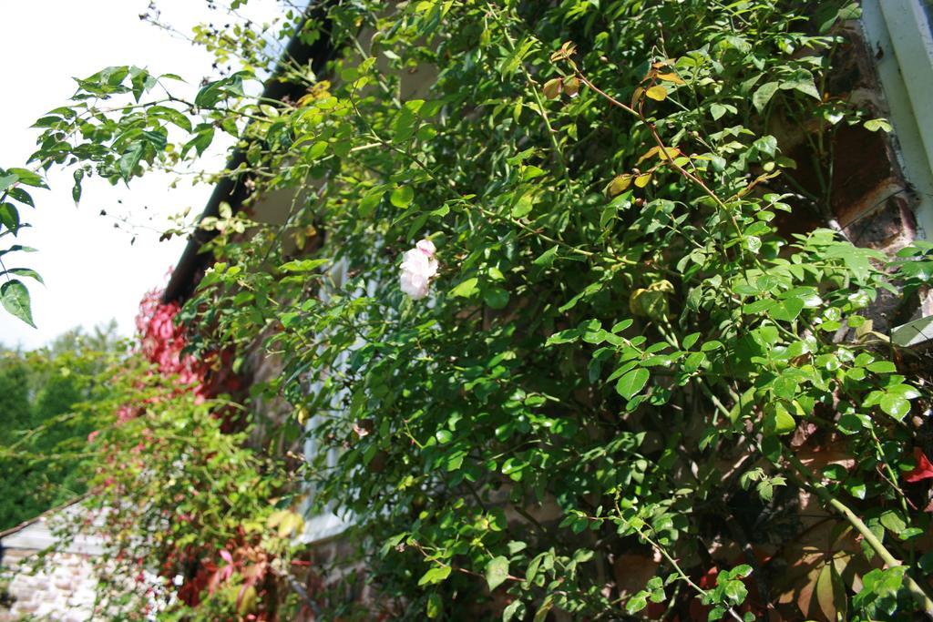 The Bark House Hotel Tiverton  Exterior foto