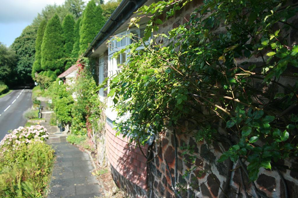 The Bark House Hotel Tiverton  Exterior foto